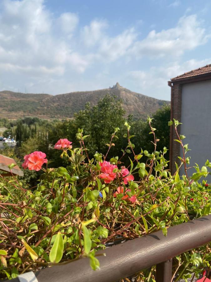 Tatin - Hotel & Cafe In Mtsʼkhetʼa Bagian luar foto